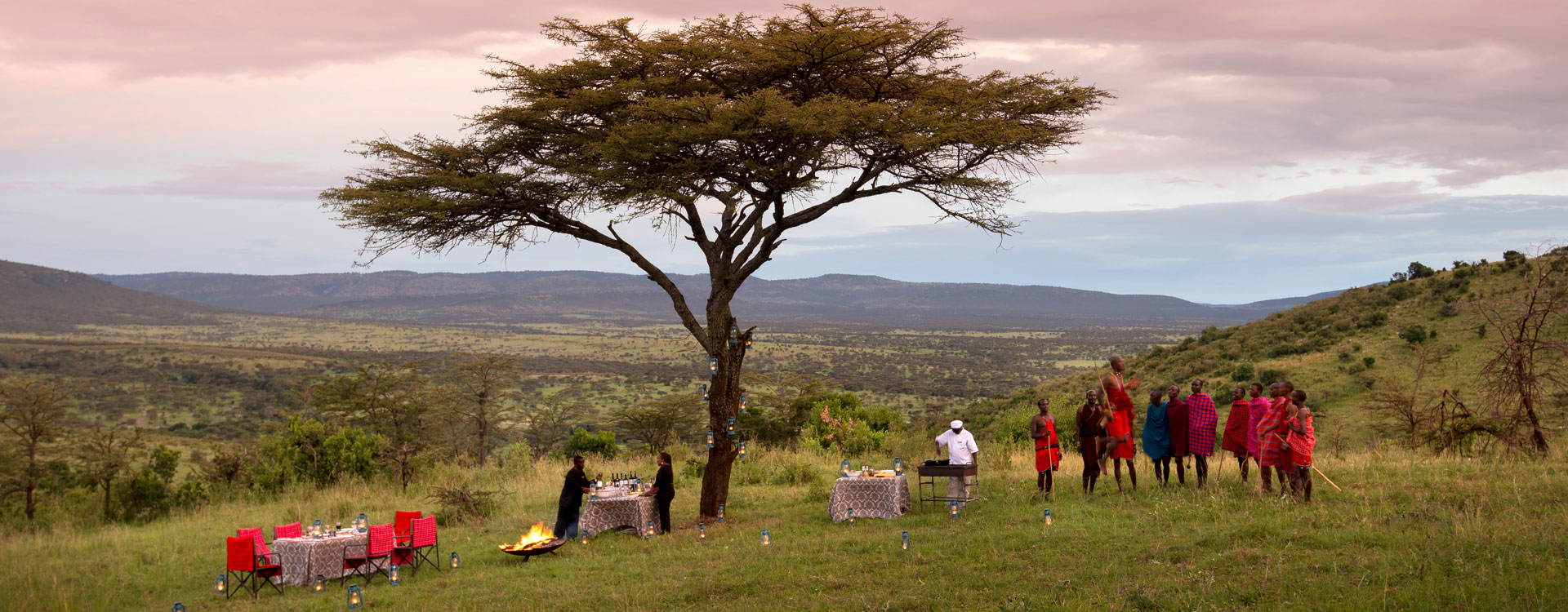 African bush safari game drive